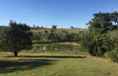 Fazenda para venda em Avaré